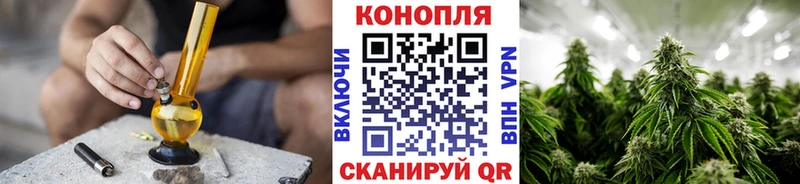 площадка как зайти  Мурманск  Конопля план 
